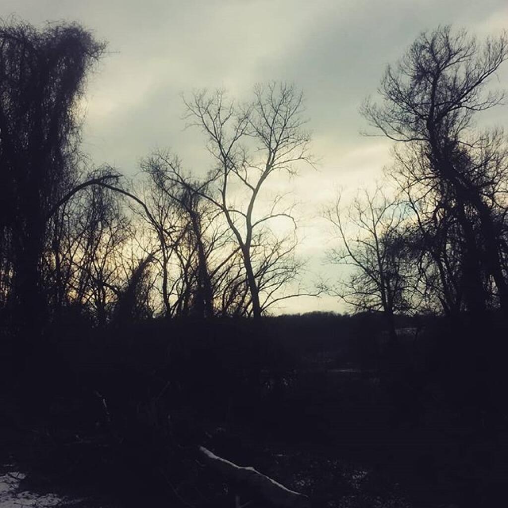 Photo: Scraggly Photo: Scraggly