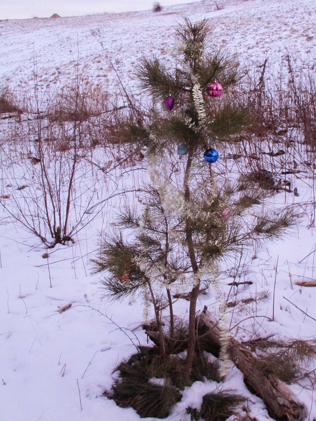 Photo: Christmas