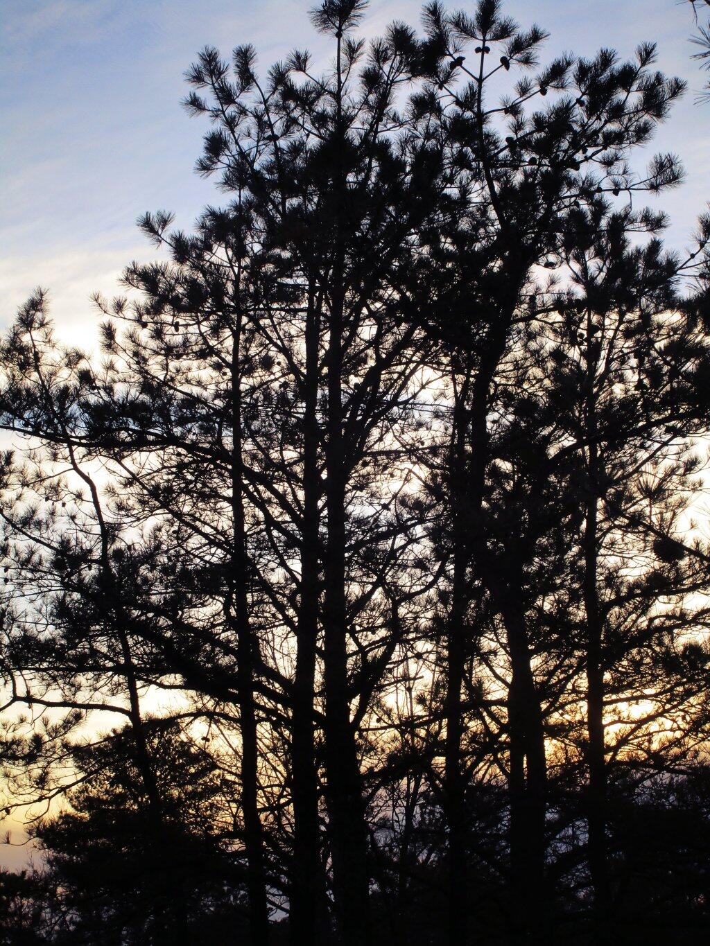 Photo: Dusk