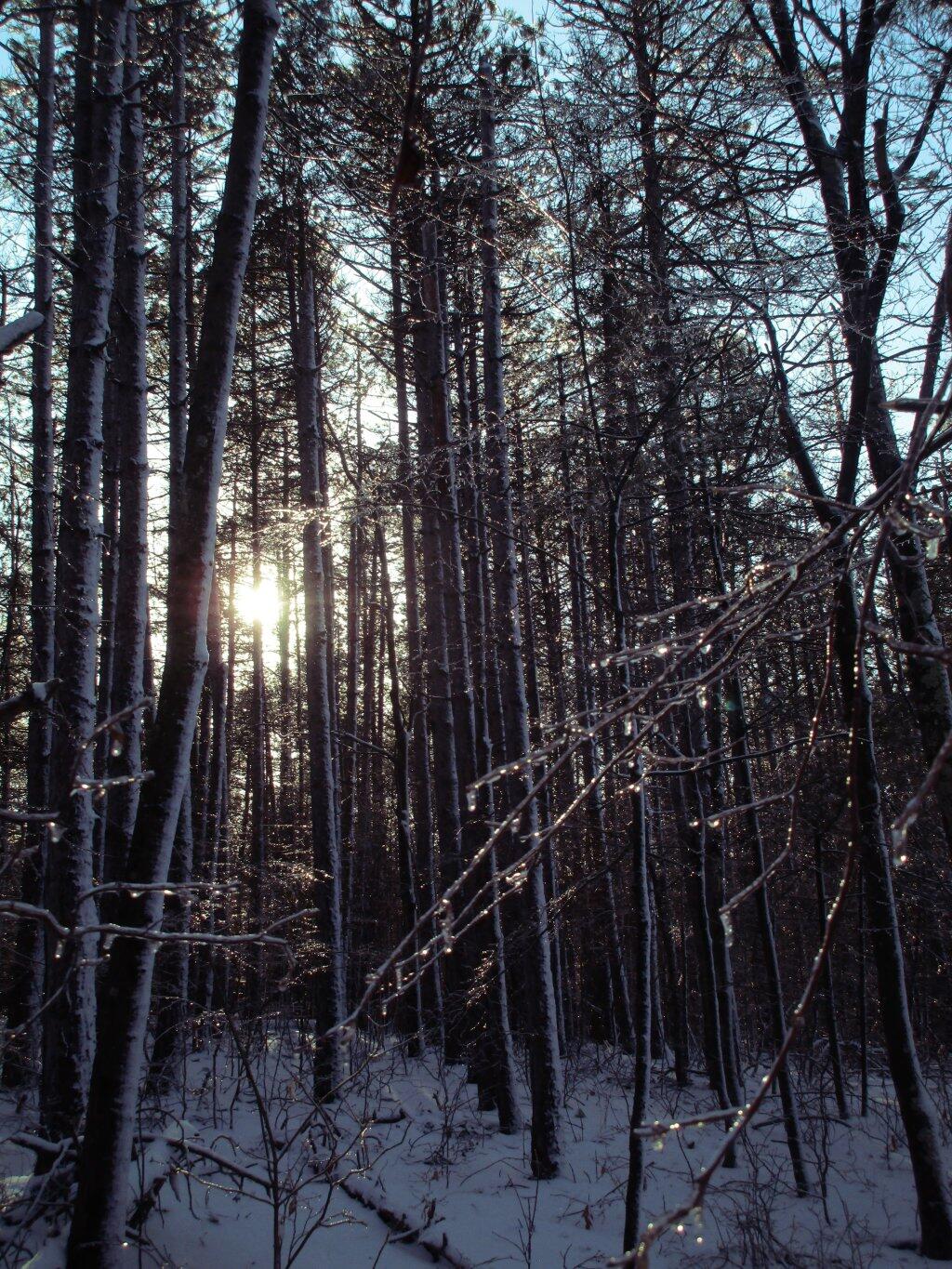 Photo: Ice