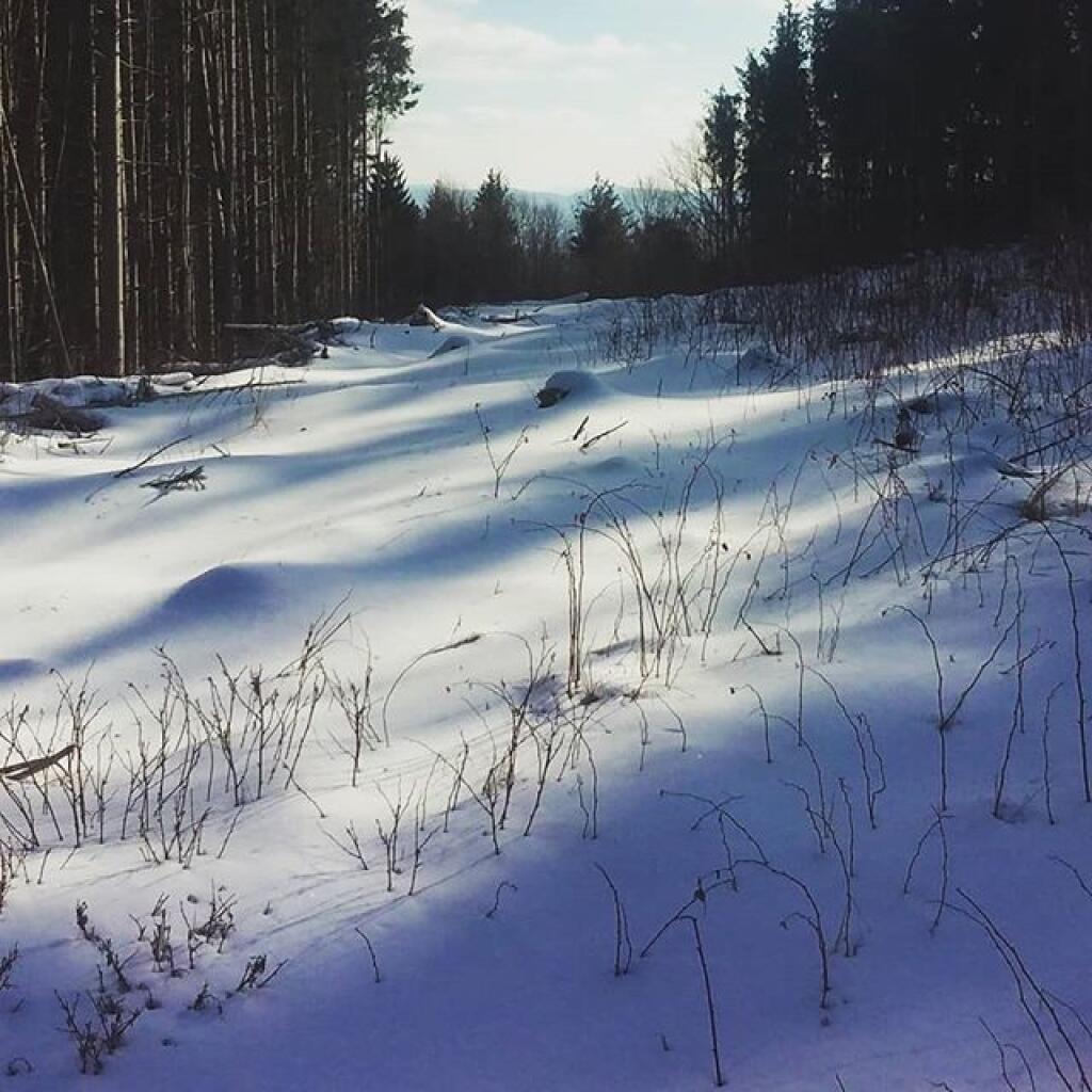 Photo: Enjoy it while it lasts