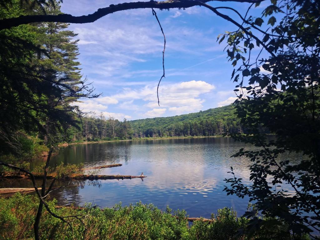 Photo: Mitchells Ponds [Expires July 27 2026]