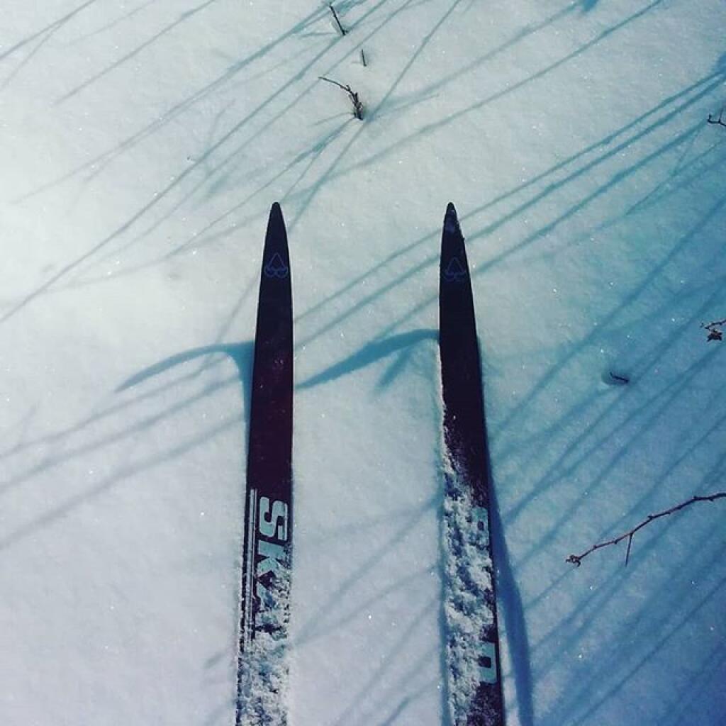 Photo: Ski