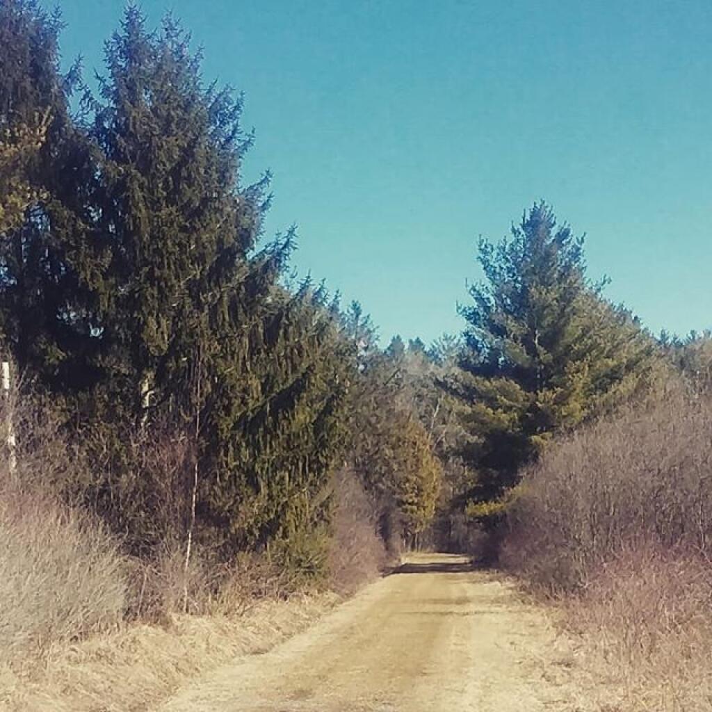 Photo: Sunny but cold this morning