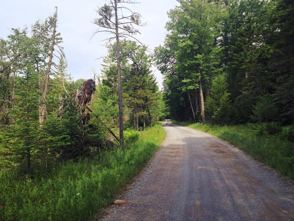 Photo: Sagmore Road