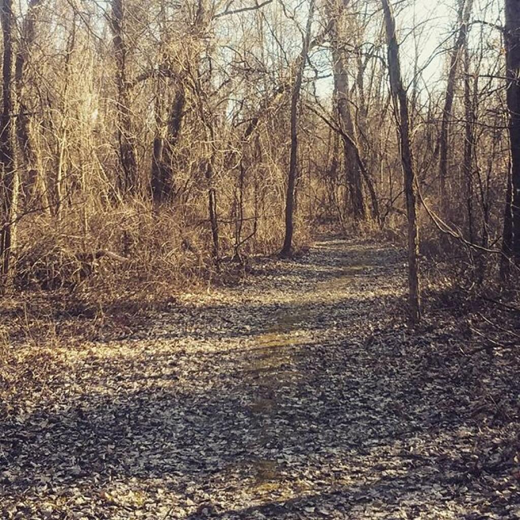 Photo: Trail