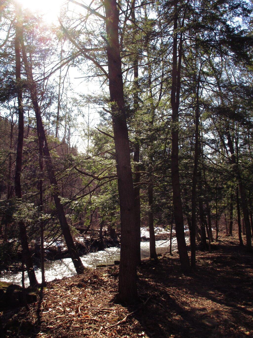 Photo: Sunlight