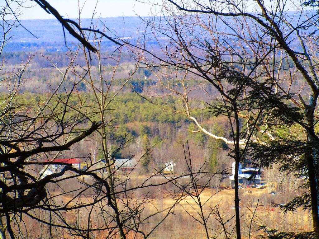 Photo: From The Overlook