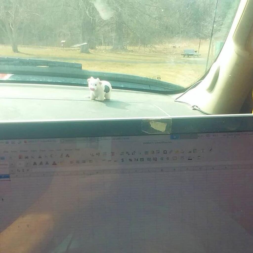 Photo: My Coronavirus office
