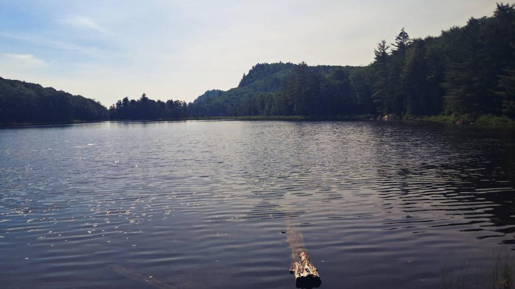 Photo: MItchells Pond [Expires July 30 2026]