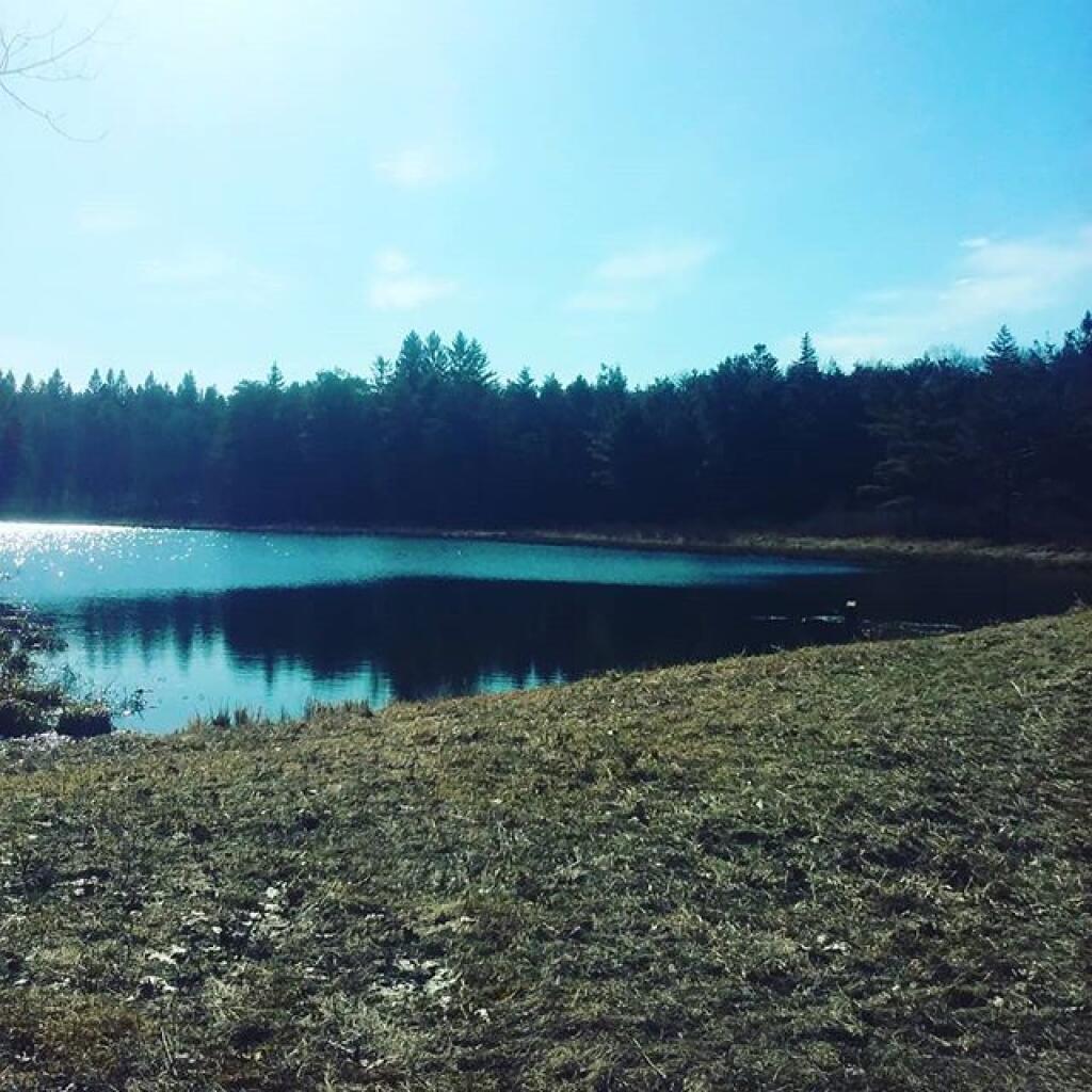 Photo: Listening to the spring peepers on Upper Beaver Pond