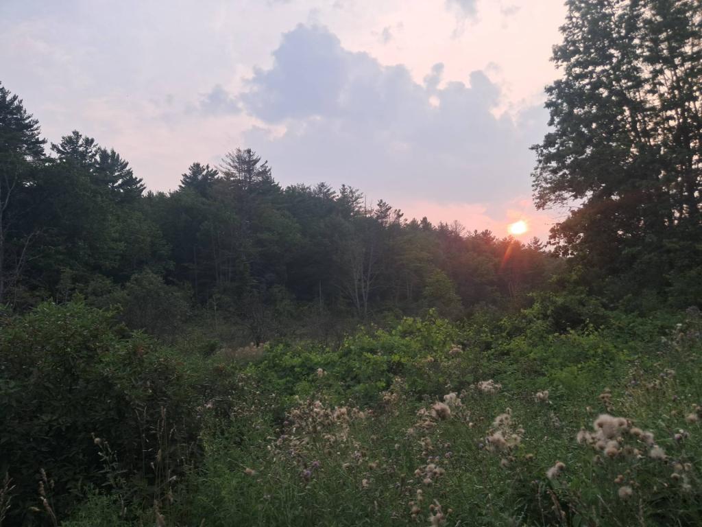 Photo: Valley [Expires July 30 2026]