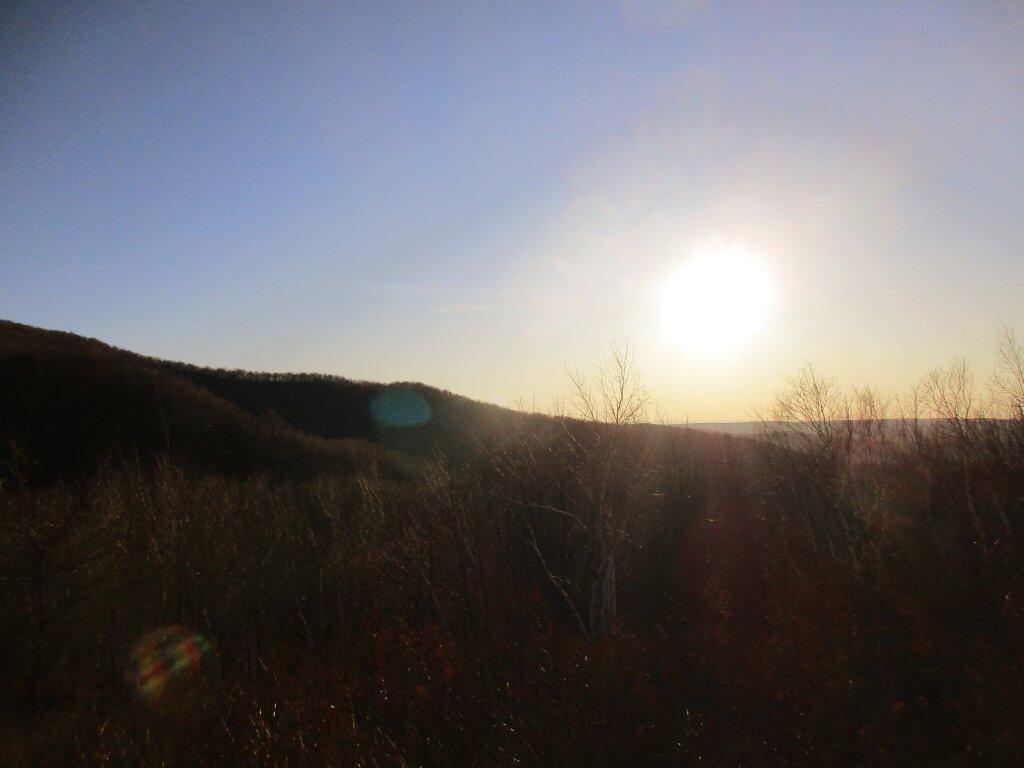Photo: Afternoon