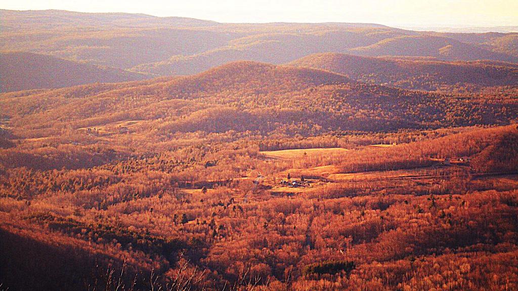 Photo: Hills Outside Petersburgh