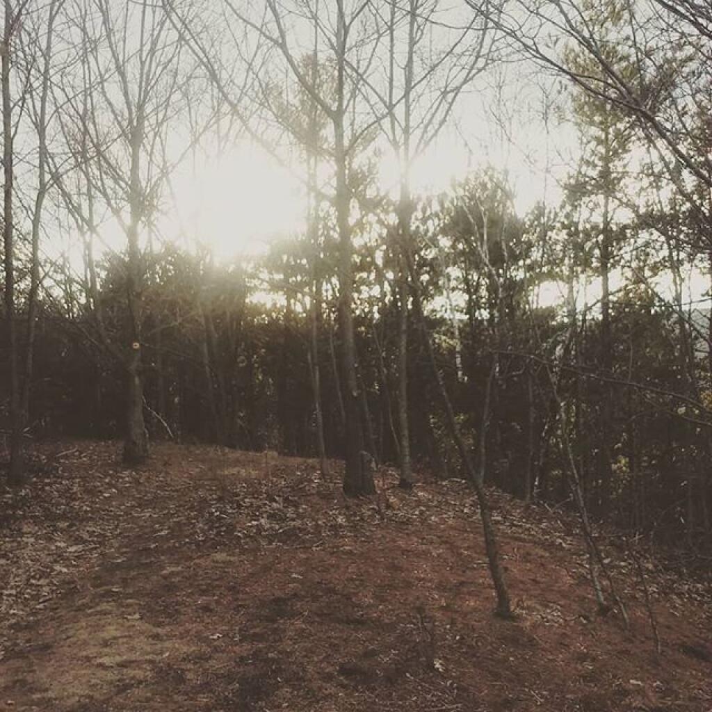 Photo: Evening