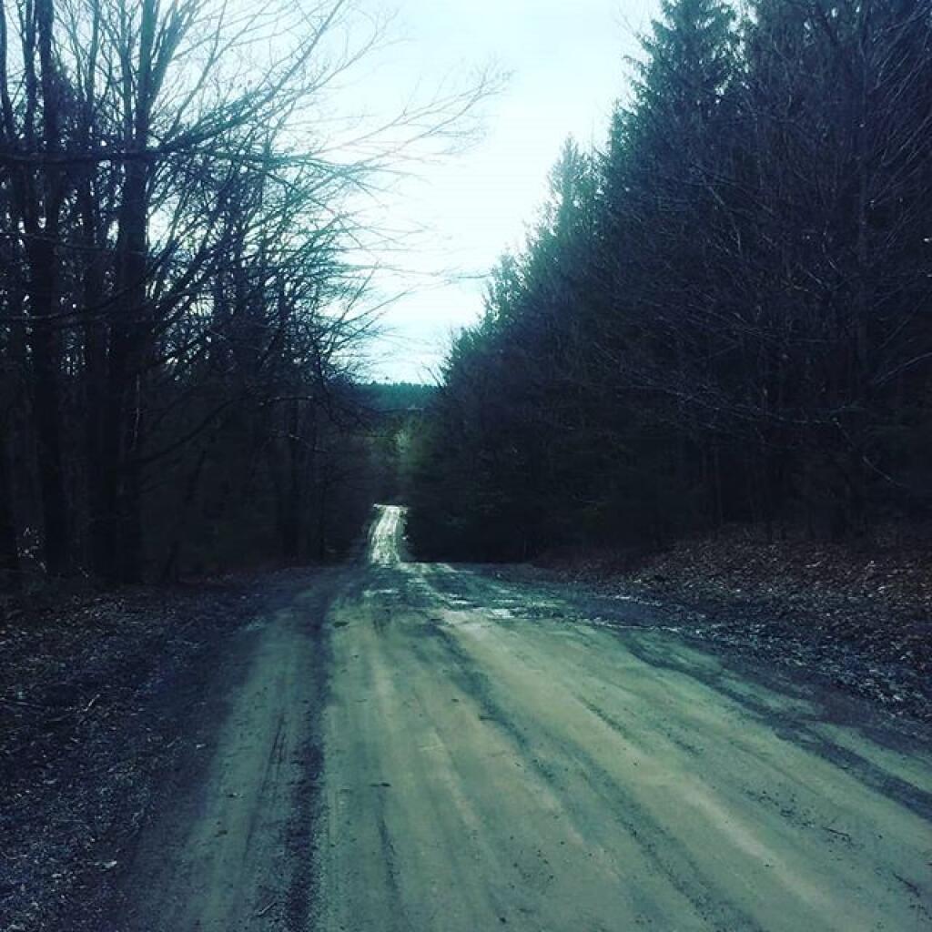 Photo: Walking along a dirt road