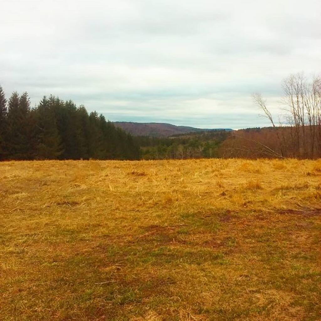 Photo: Early spring
