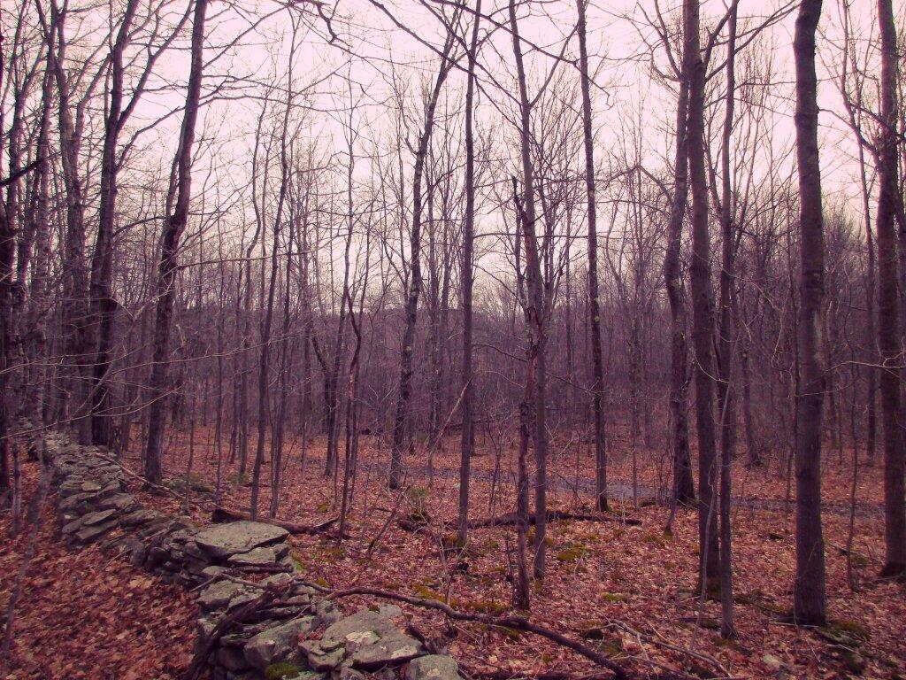 Photo: Long Path Was Muddy