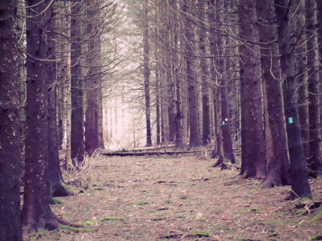 Photo: Long Path
