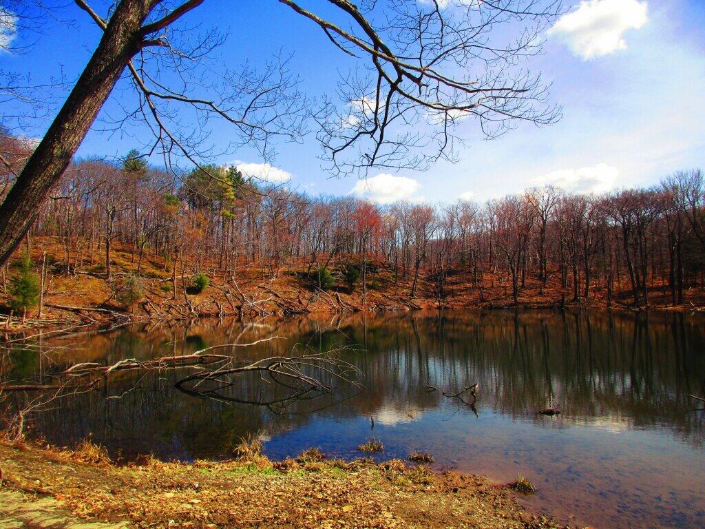 Photo: Another View Of Lower Twin Pond