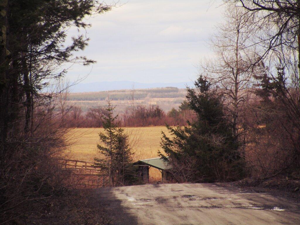 Photo: East