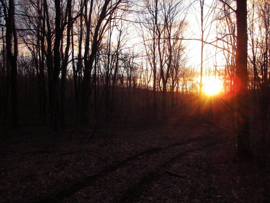 Photo: Sunset