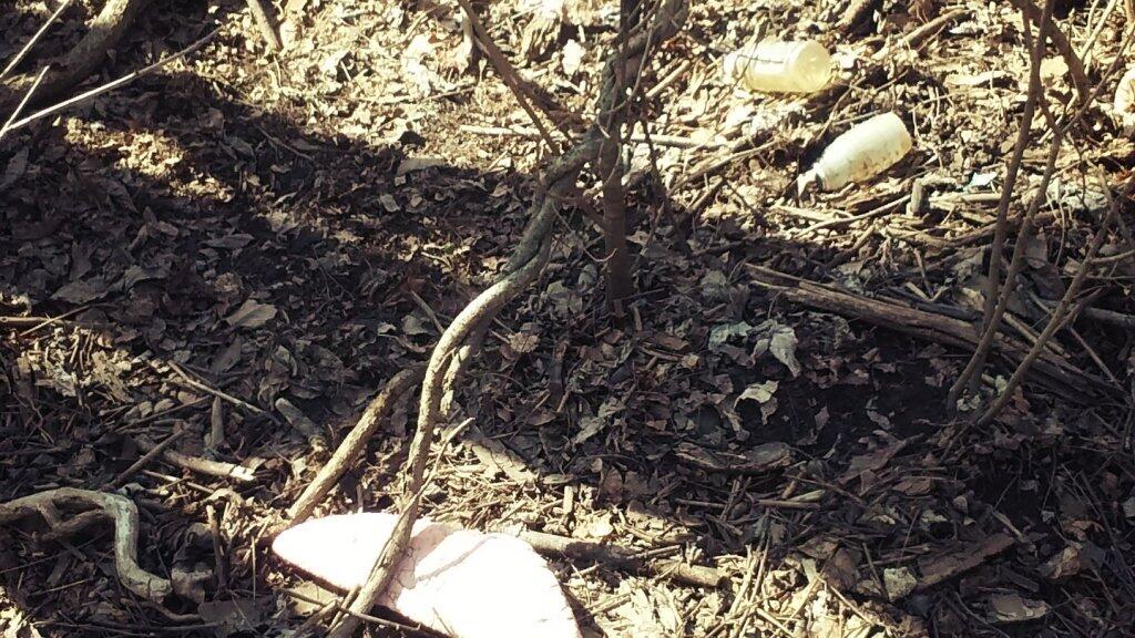 Photo: Litter