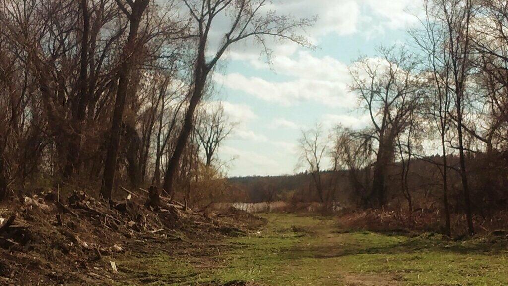 Photo: Path To The River