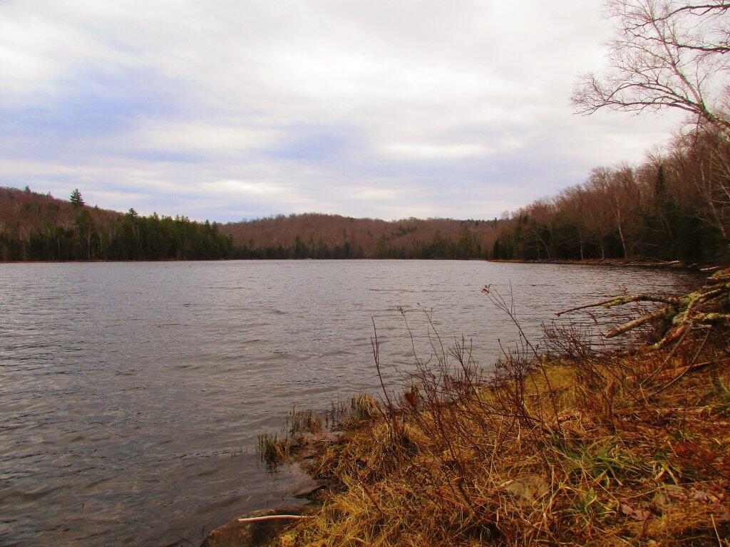 Photo: Shoreline