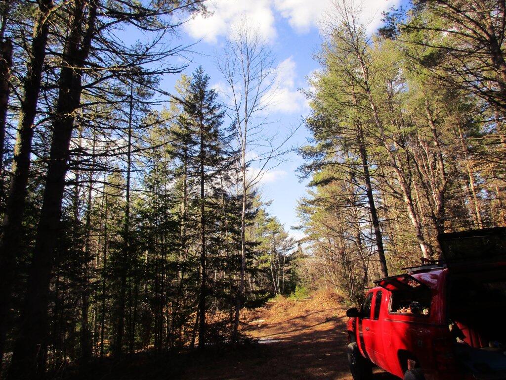 Photo: Nice Afternoon At Camp