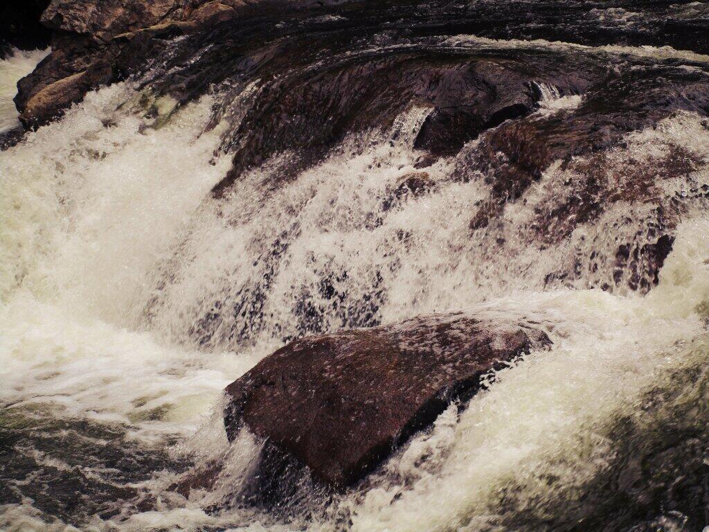 Photo: Spray
