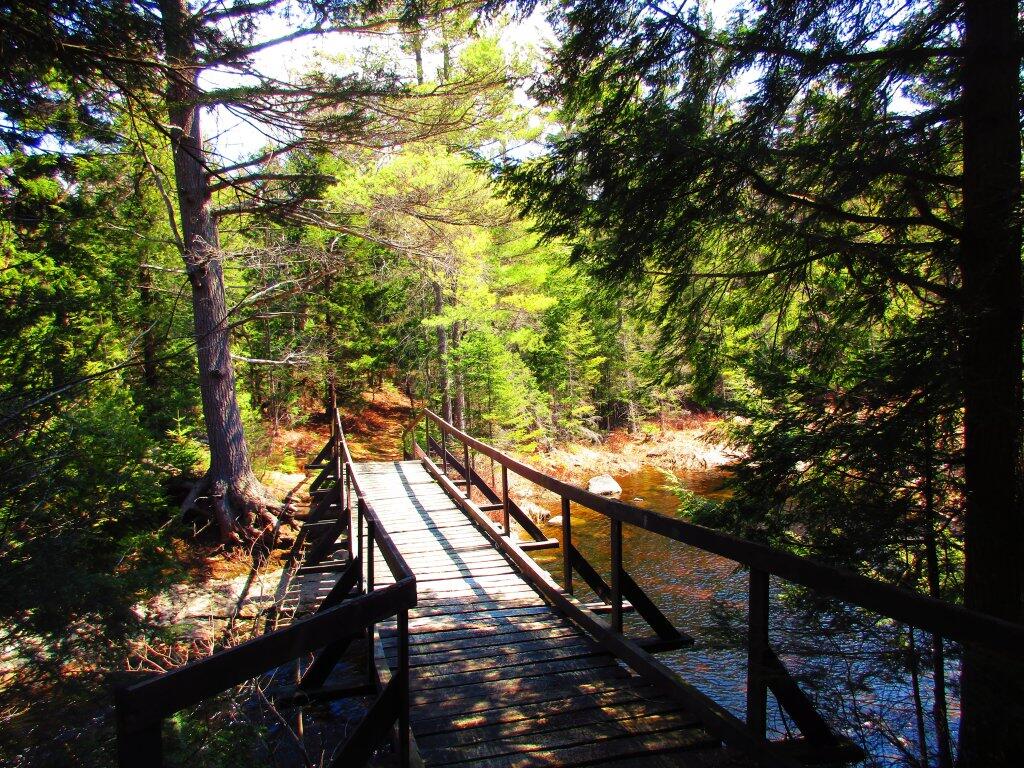 Photo: Bridge