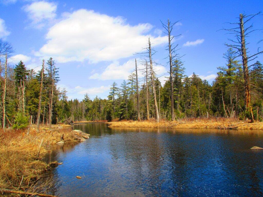 Photo: Flatwater