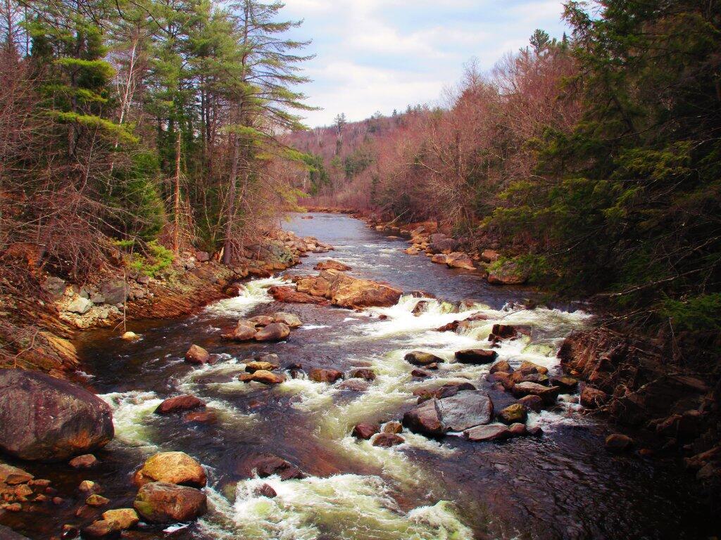 Photo: East Branch