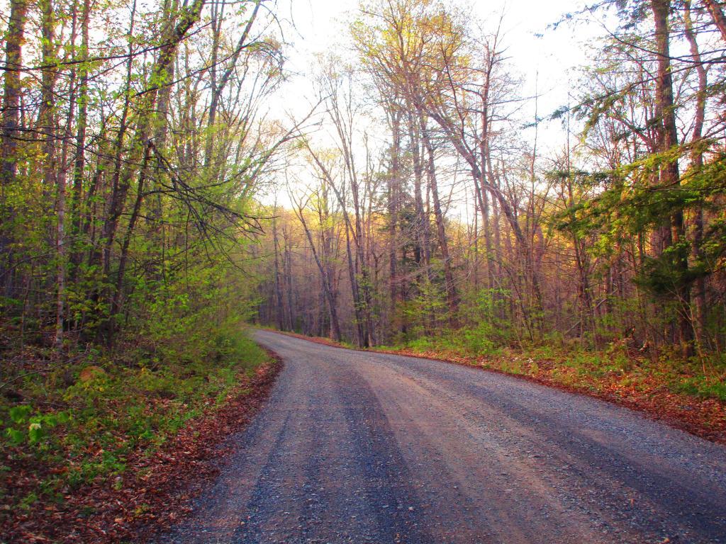 Photo: Jessup River Road