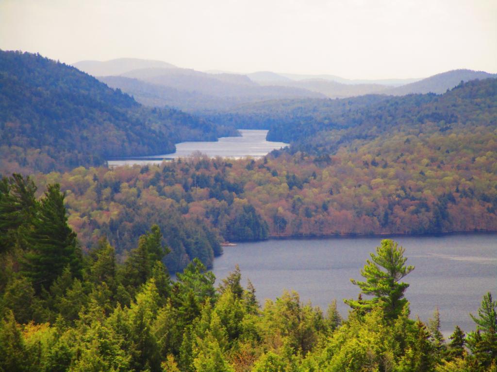 Photo: Forks of Indian Lake