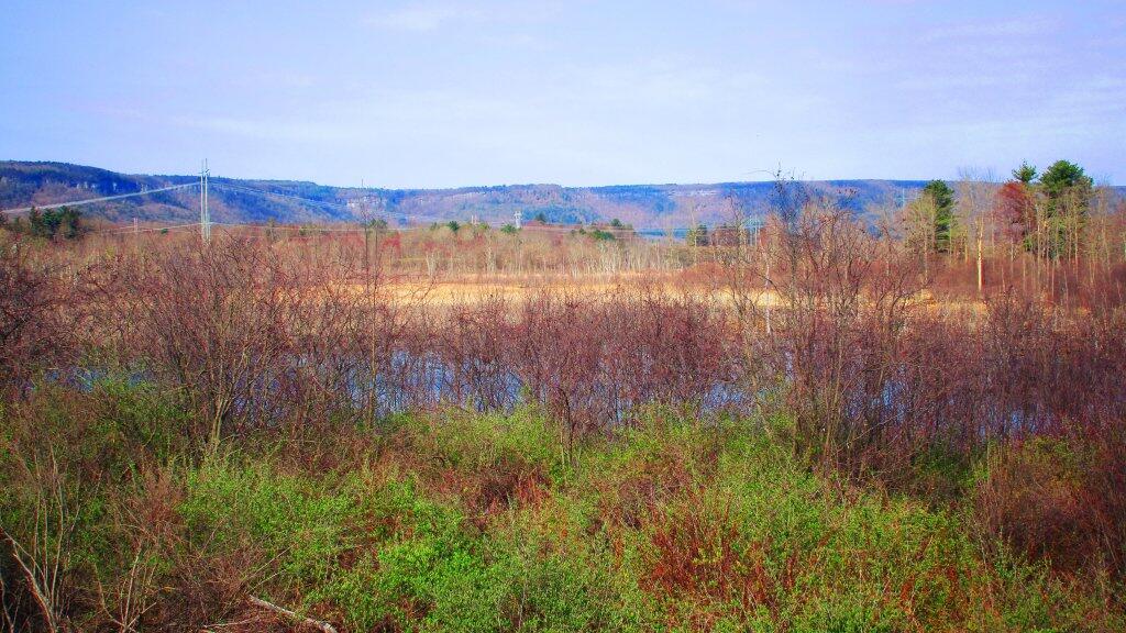 Photo: Escarpment Beyond The Marsh