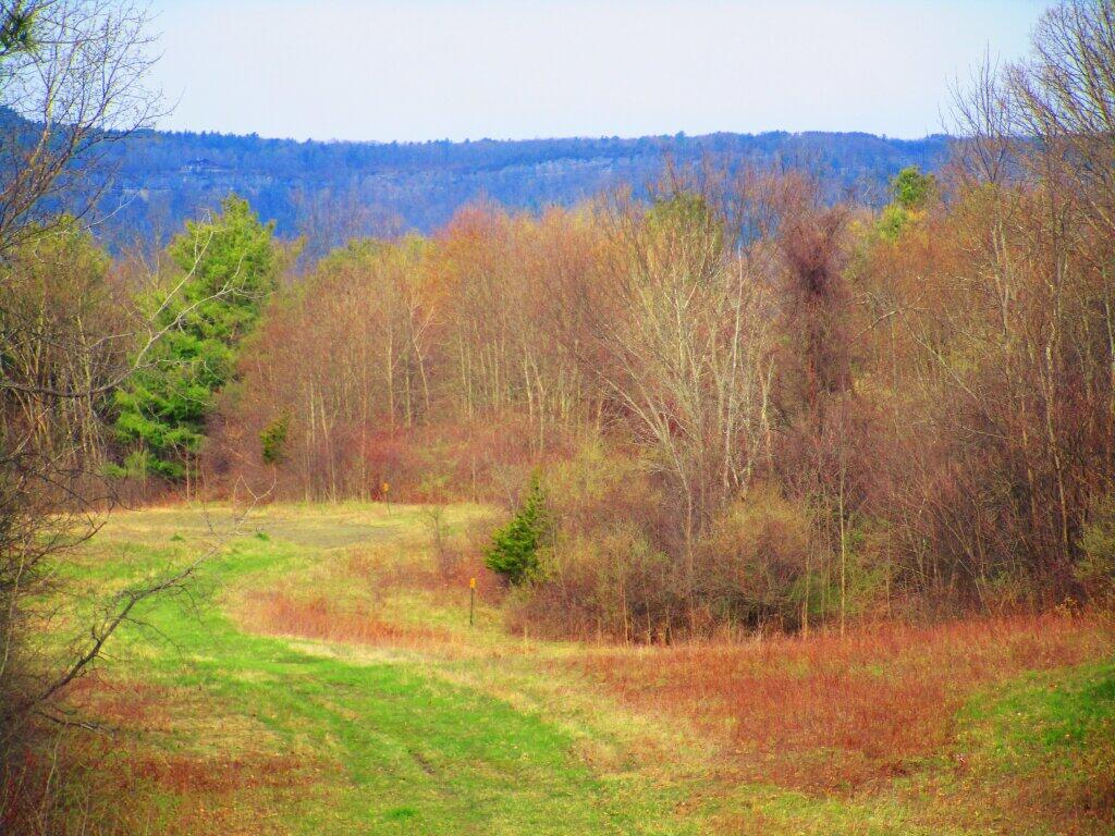 Photo: Open Lands Heading Back To The Marsh