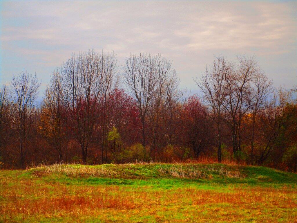 Photo: Spring Is Coming