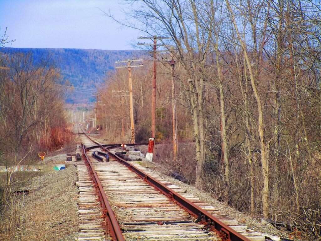 Photo: Train Tracks
