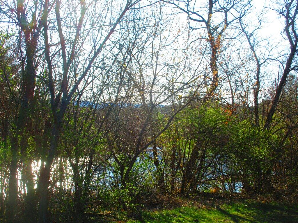 Photo: Spring Is Sprung