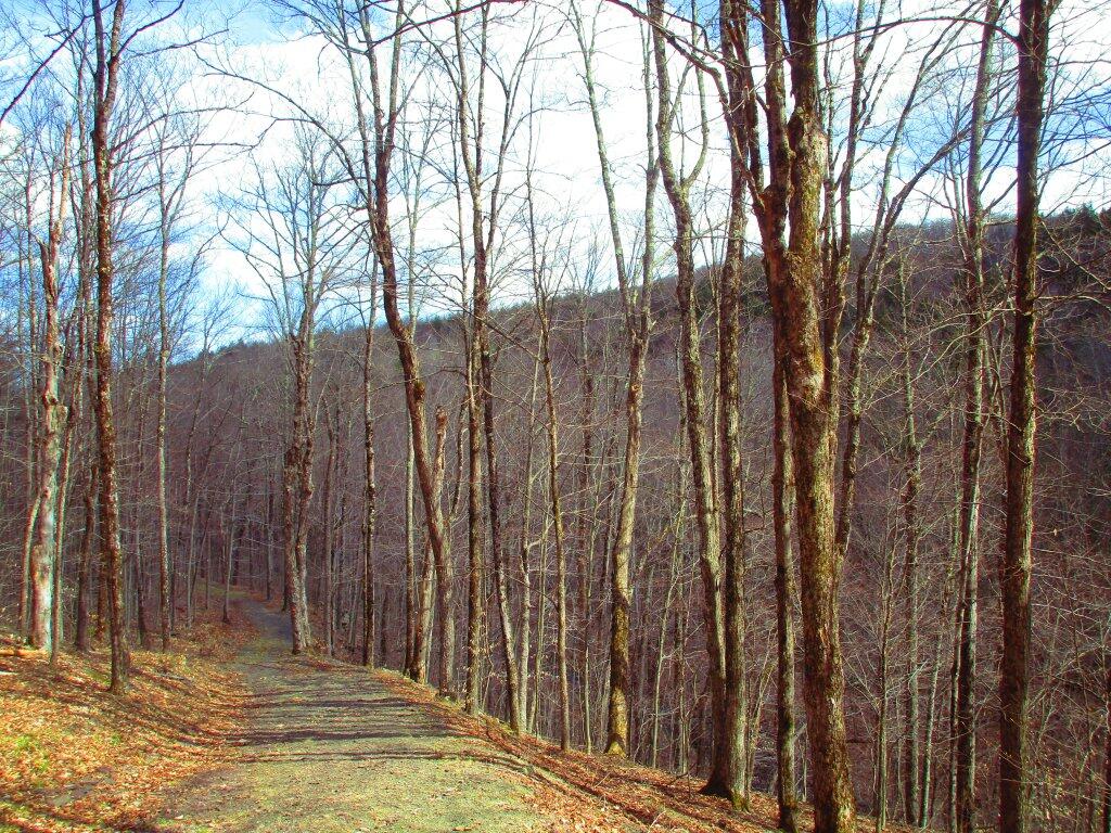 Photo: Looking Back Down The Hill