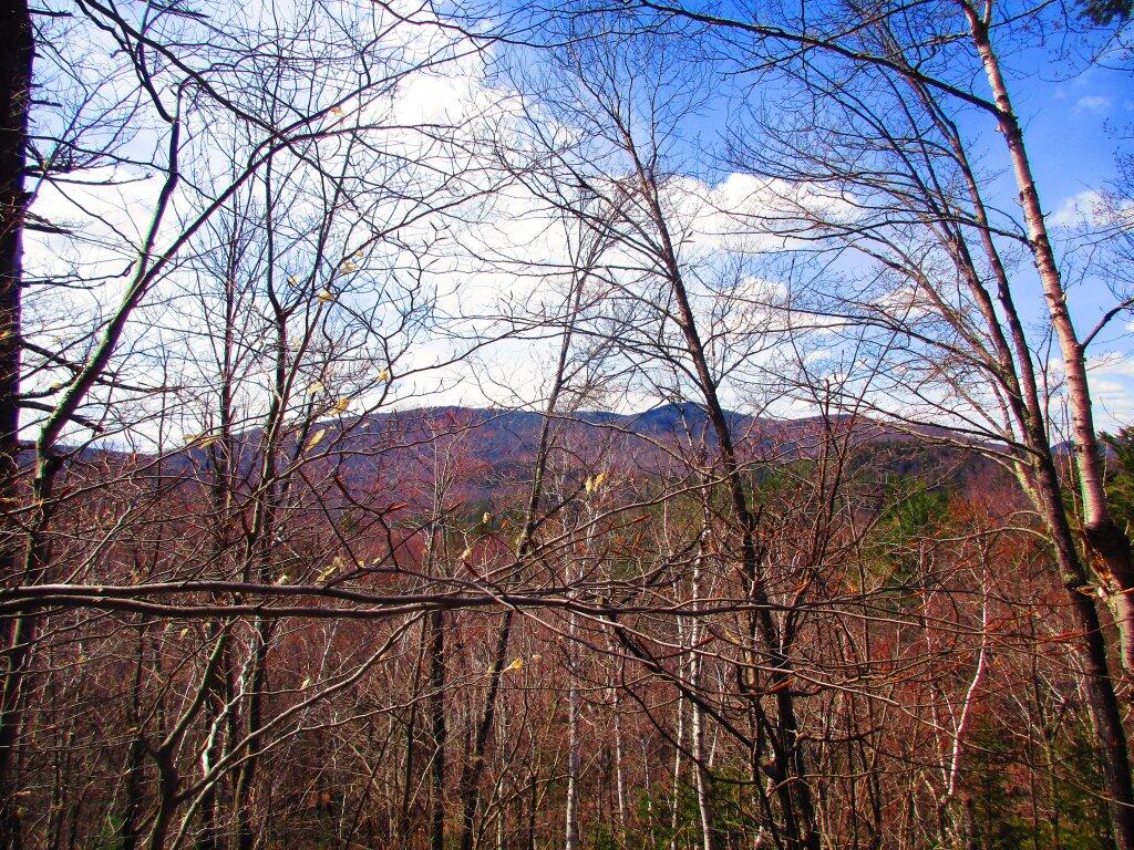 Photo: View From The Ledge Above Eagle Pond Swamp