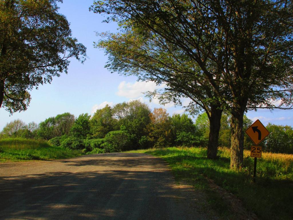Photo: Carley Road Photo: Carley Road