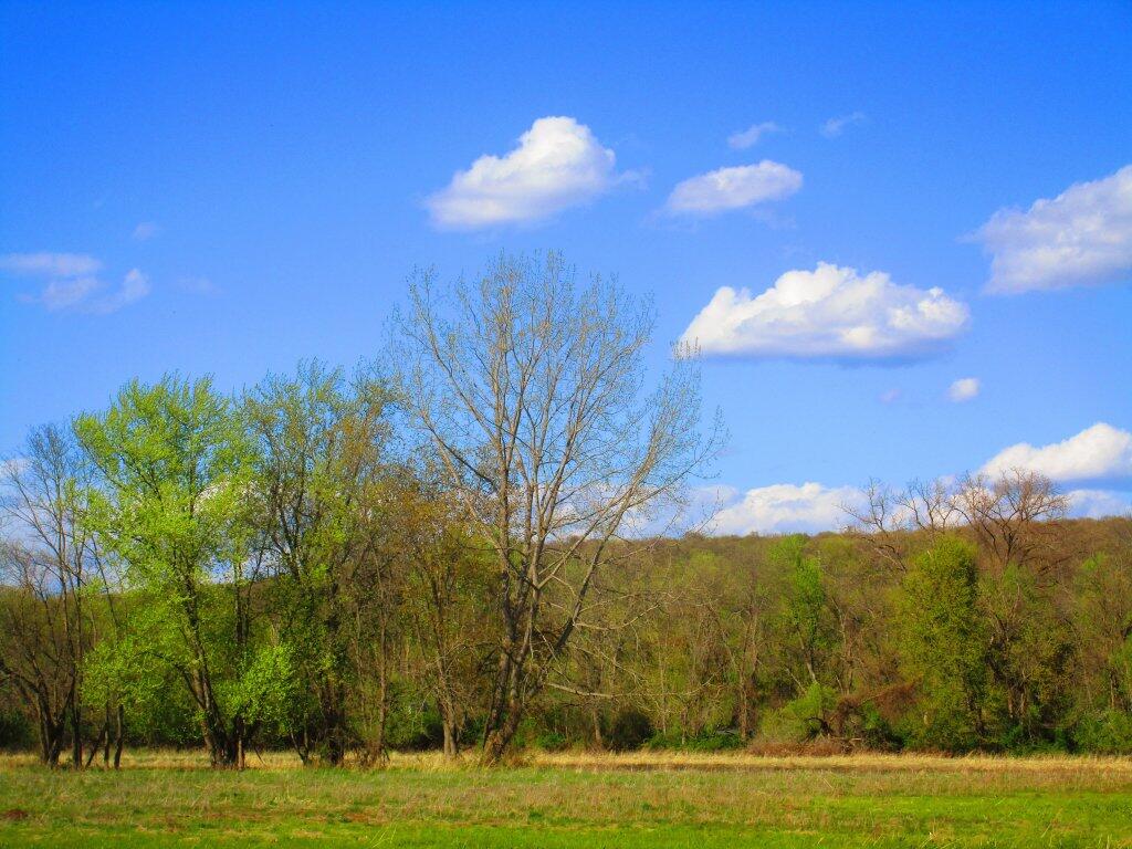 Photo: Nice Spring Afternoon