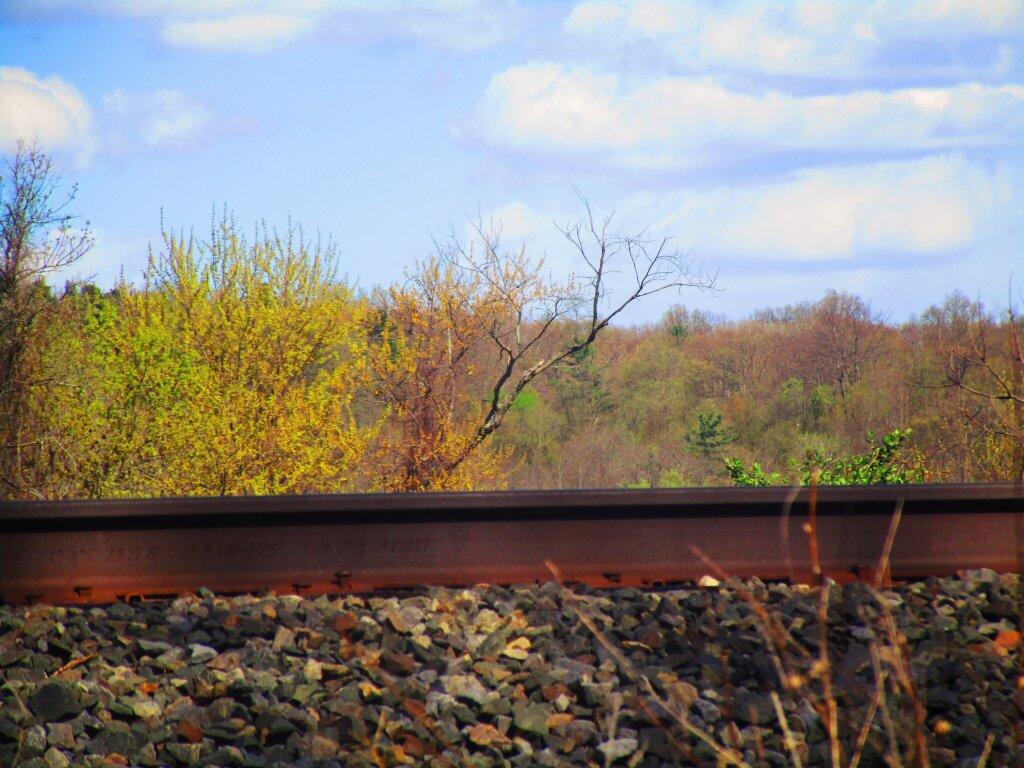 Photo: Steel Rail Heard The News