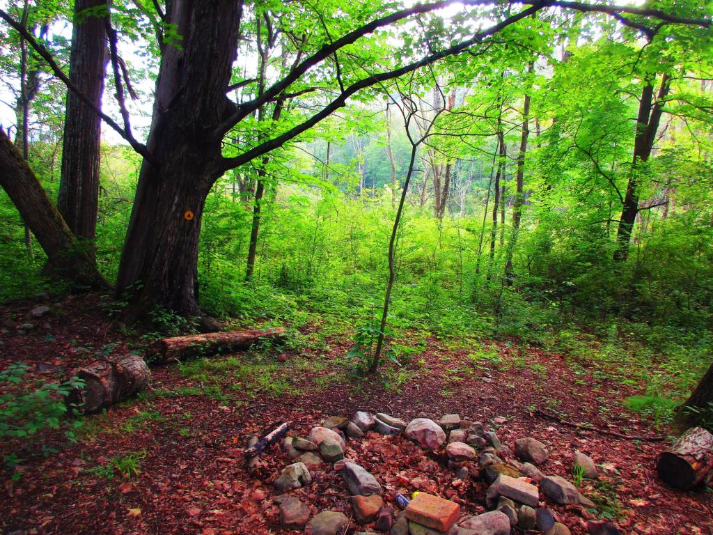 Photo: Texas Hollow Campsite