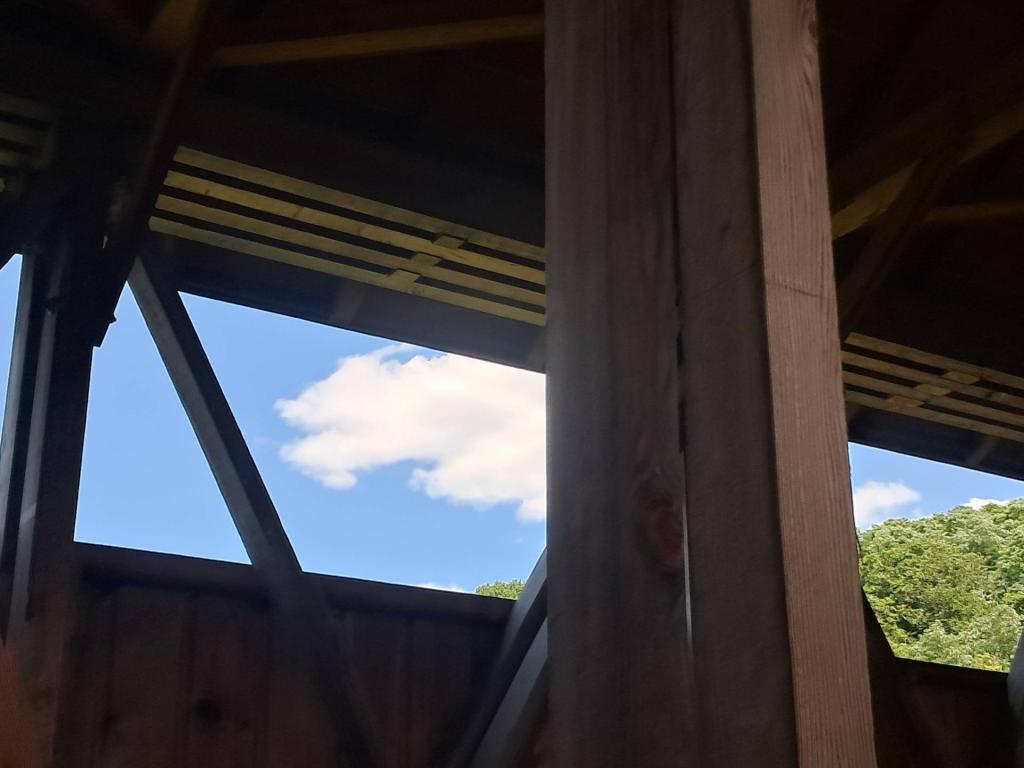 Photo: Sky [Expires August 7 2026]
