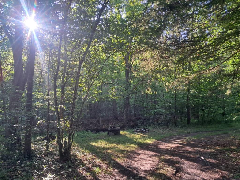 Photo: Morning at the other campsite [Expires August 7 2026]