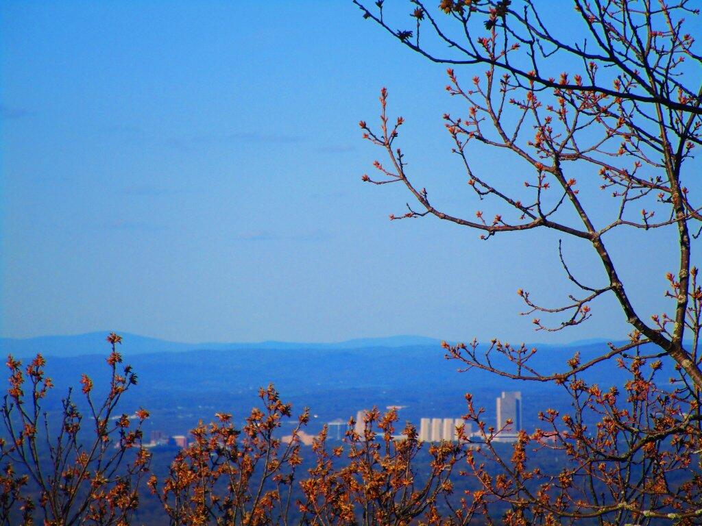 Photo: Albany